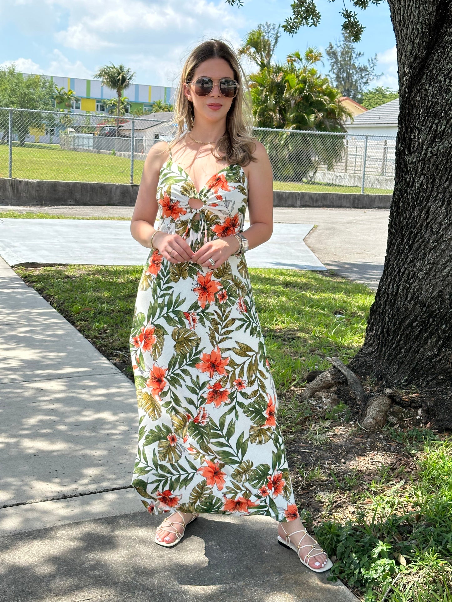 Tropical dream