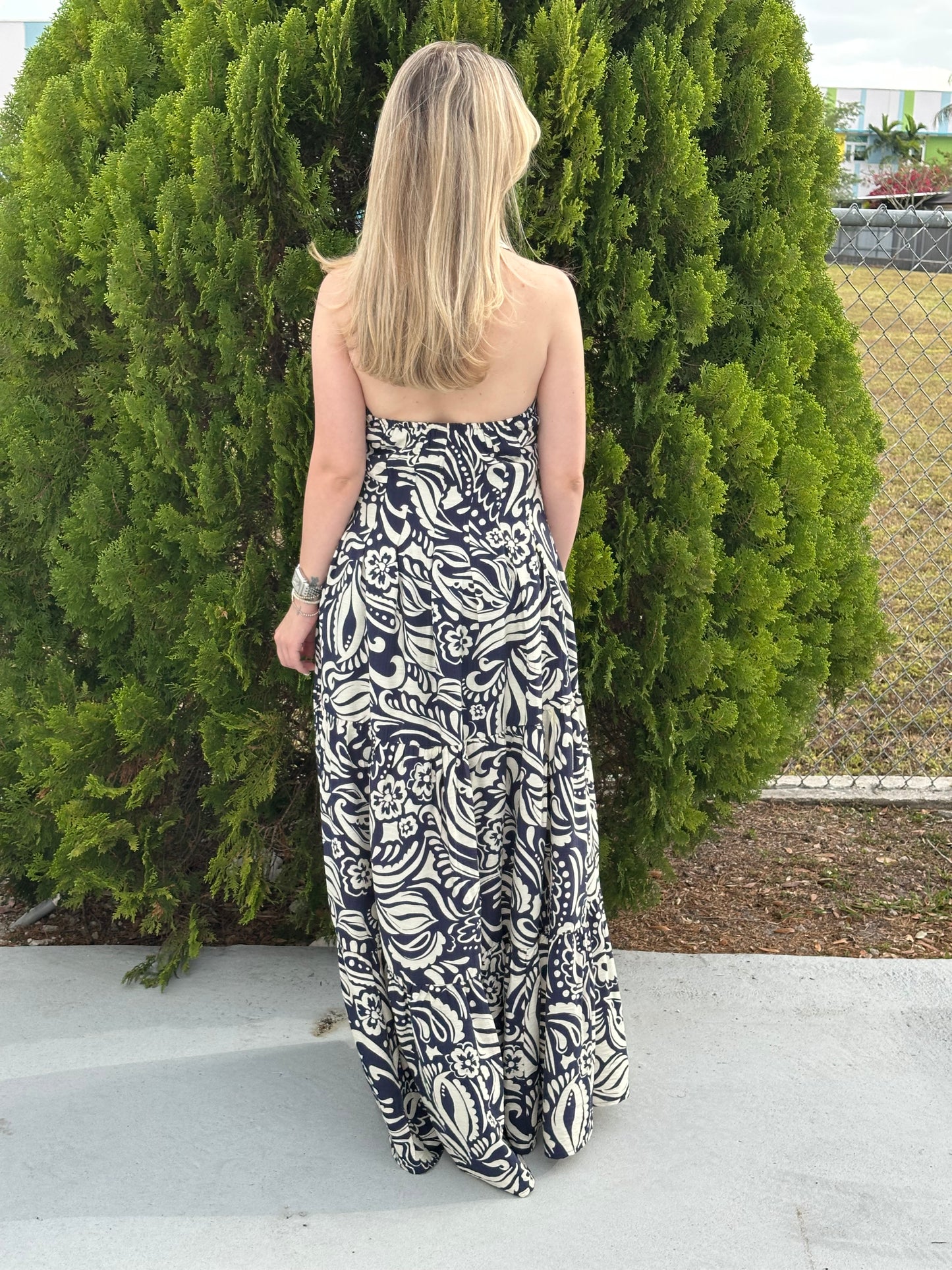 Barbara maxi dress