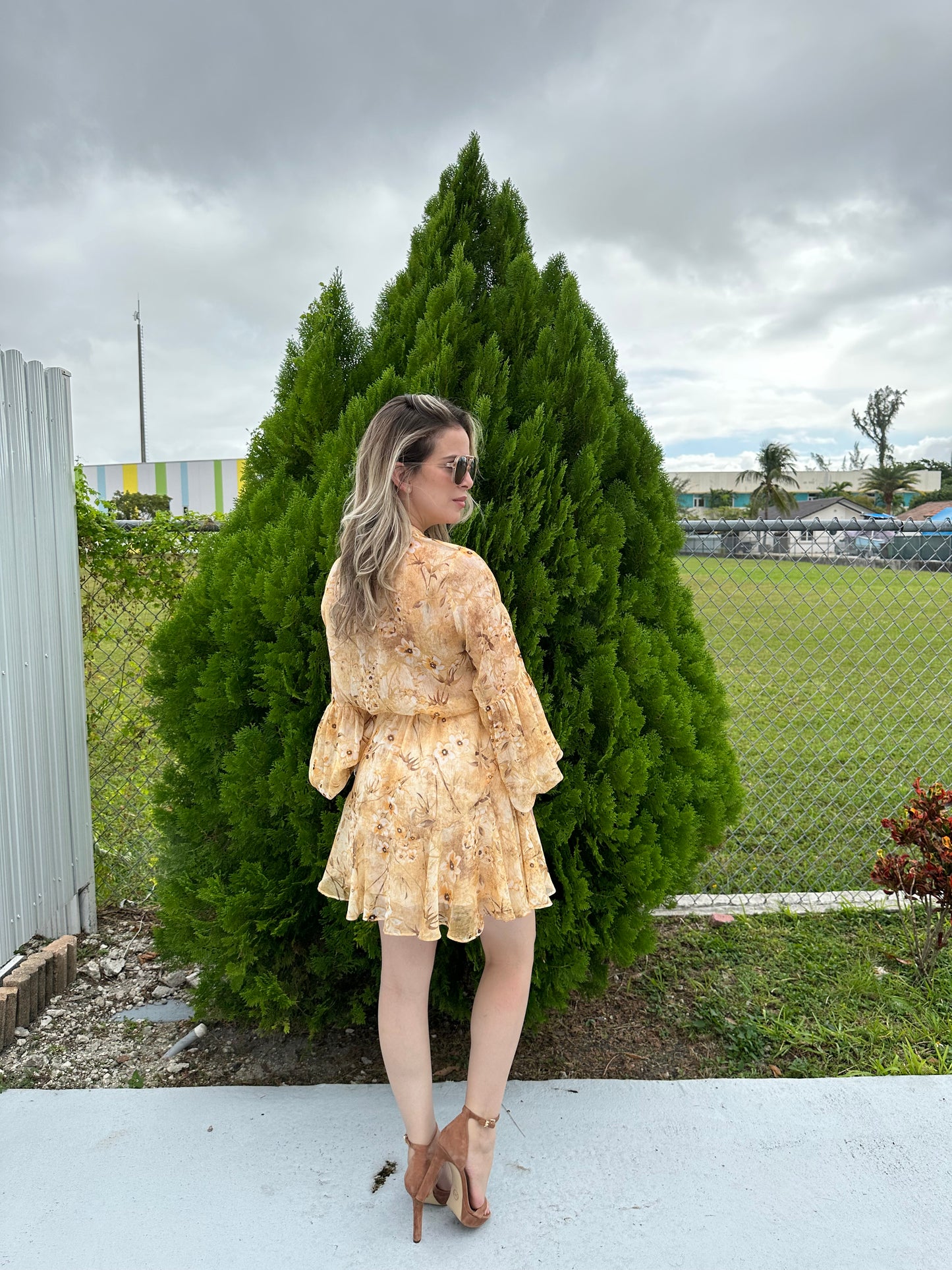 Amber dress