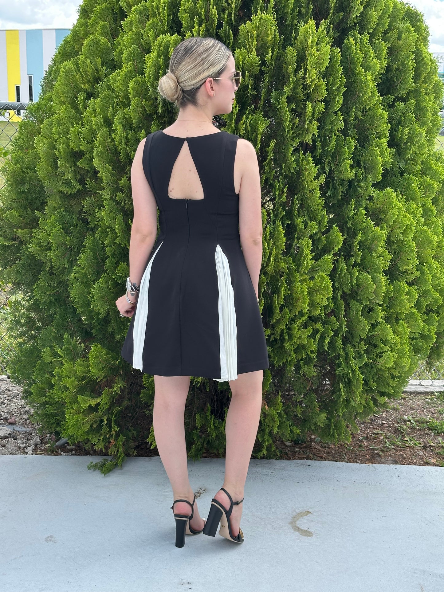 Antonella mini dress