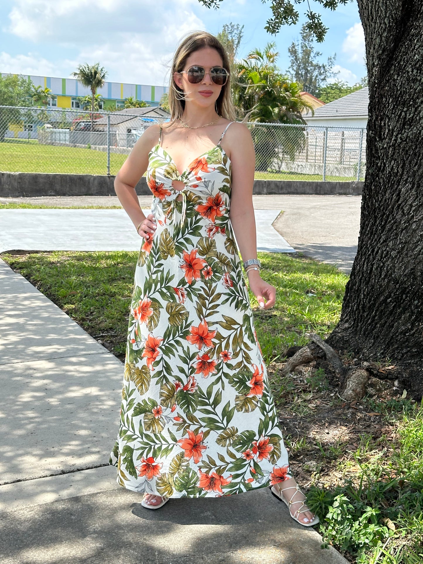 Tropical dream