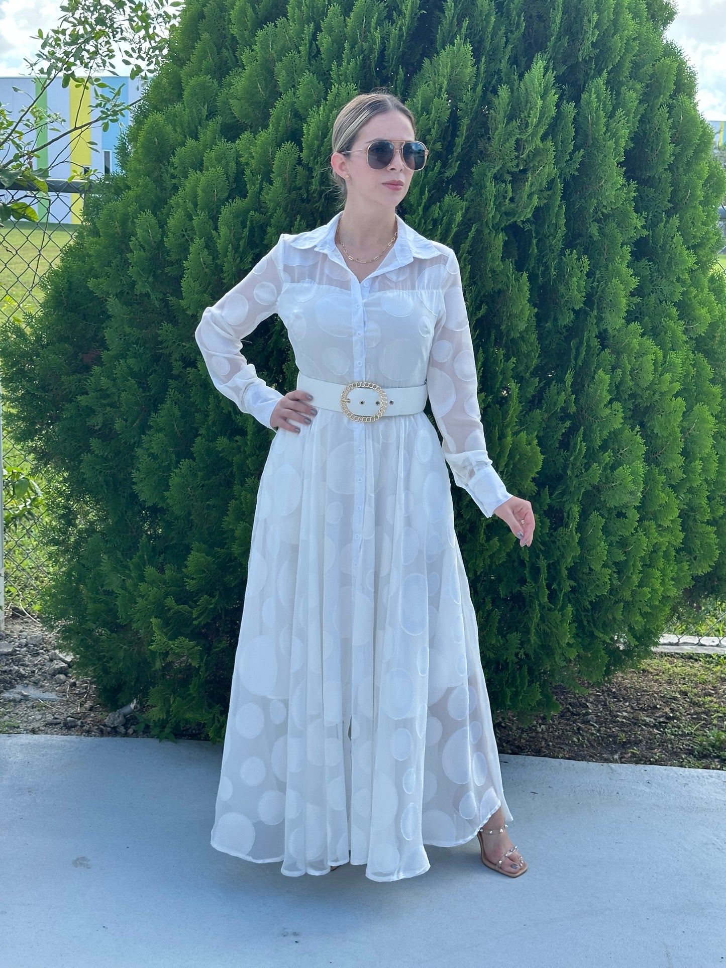 Alba Maxi dress