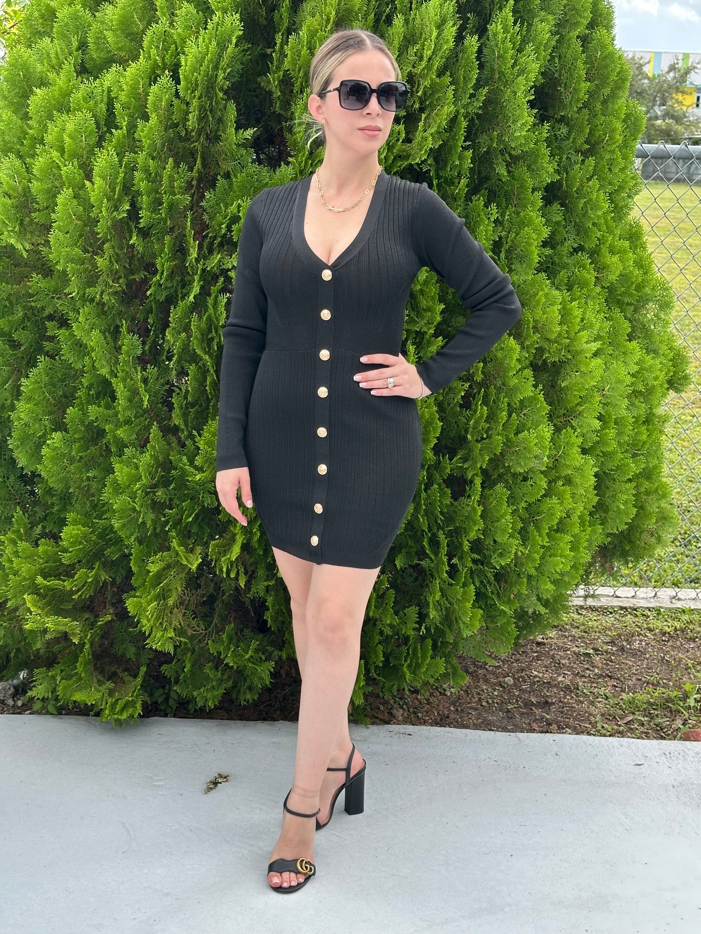 Gabby long sleeve mini dress