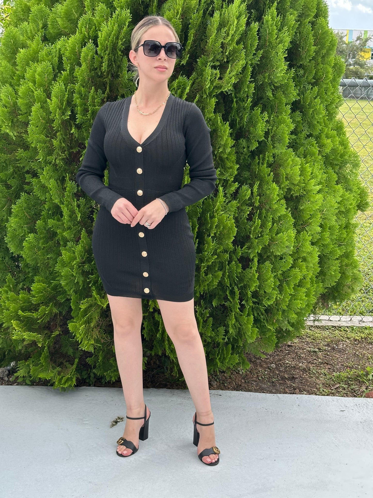 Gabby long sleeve mini dress