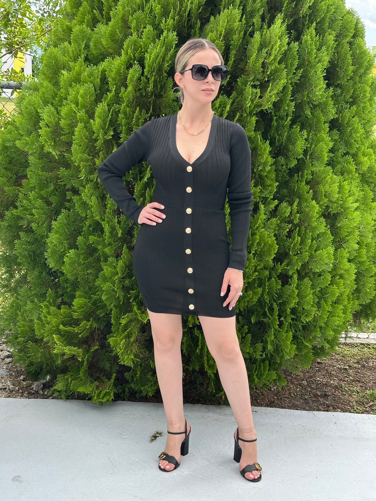 Gabby long sleeve mini dress