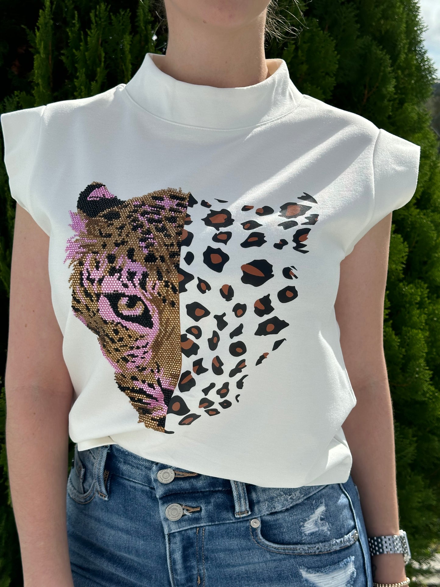 Cheetah