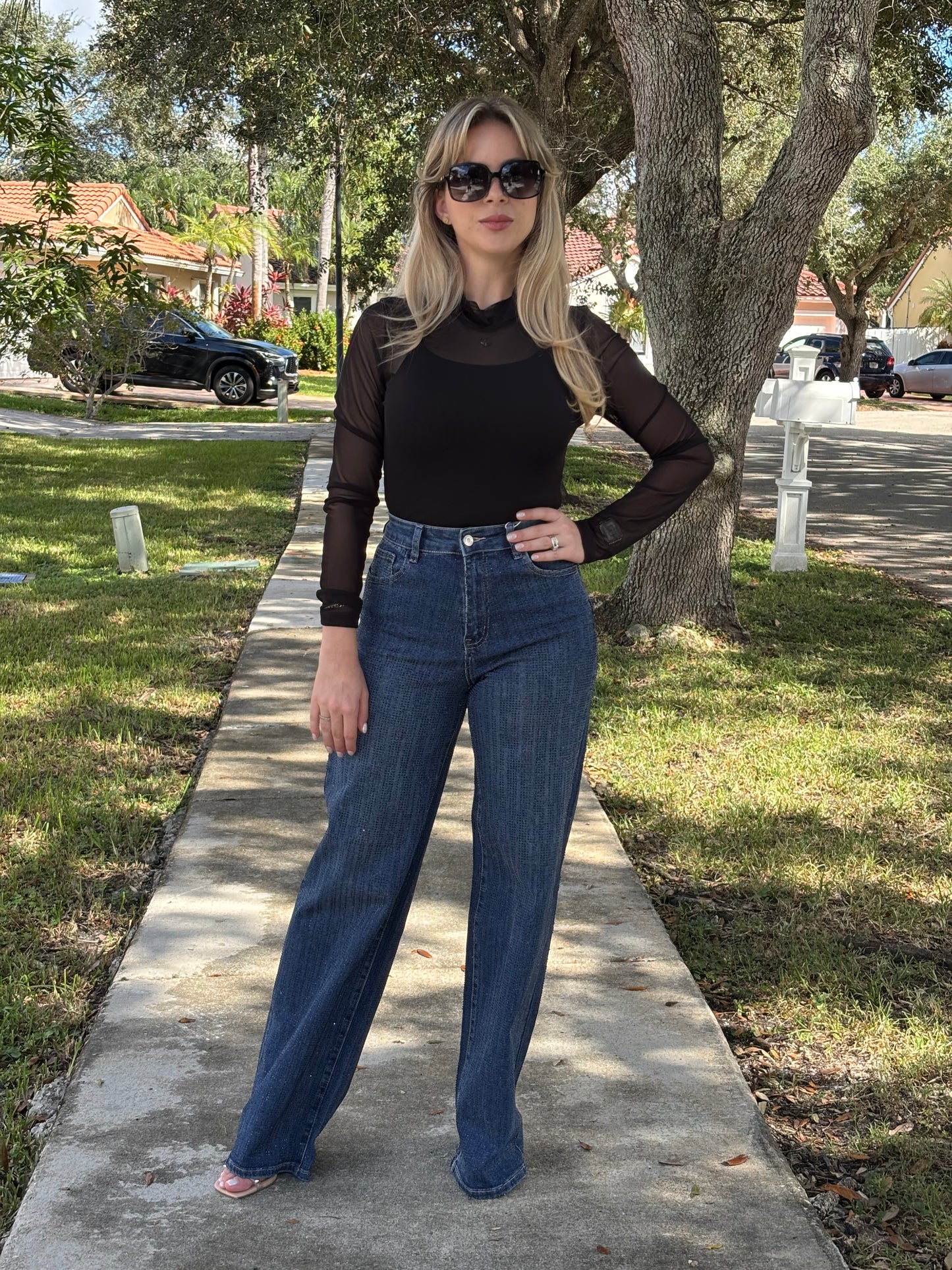 Long sleeve mesh bodysuit