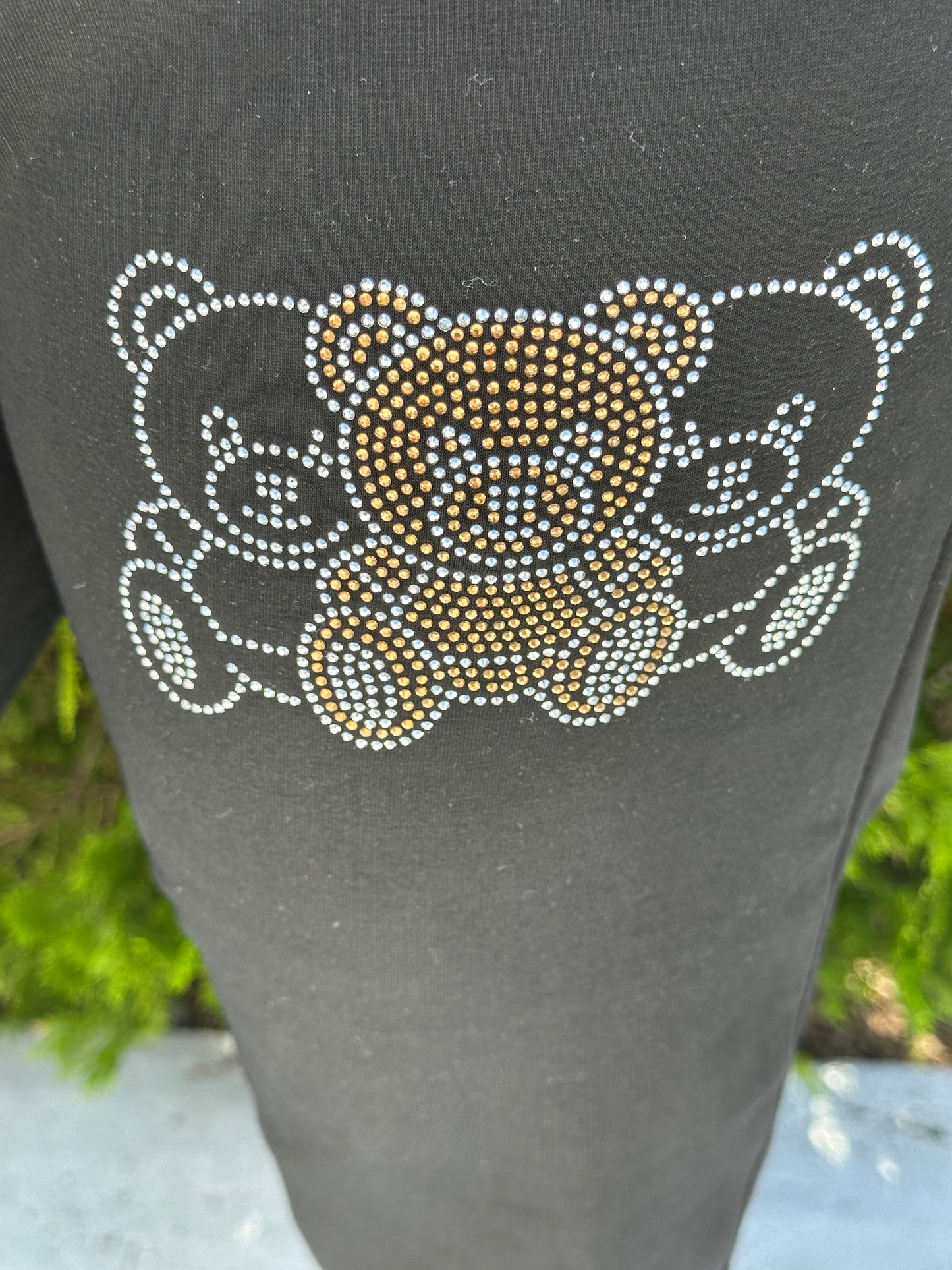 Bear long sleeve set