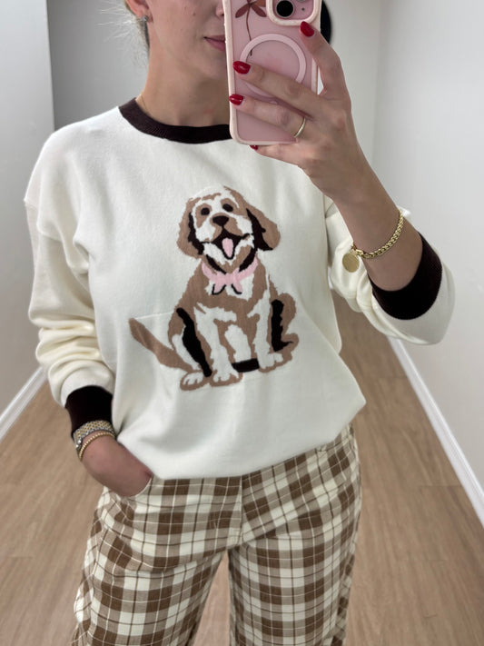 Mocha dog sweater