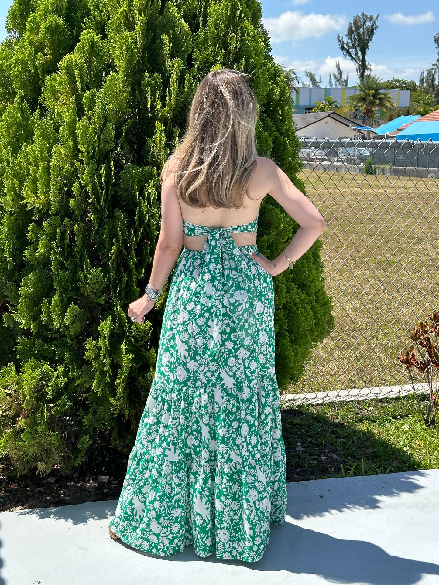 Sara maxi dress