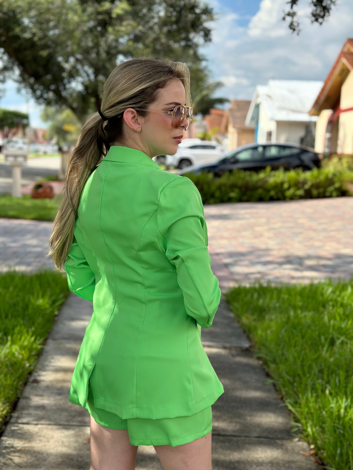 Green apple set