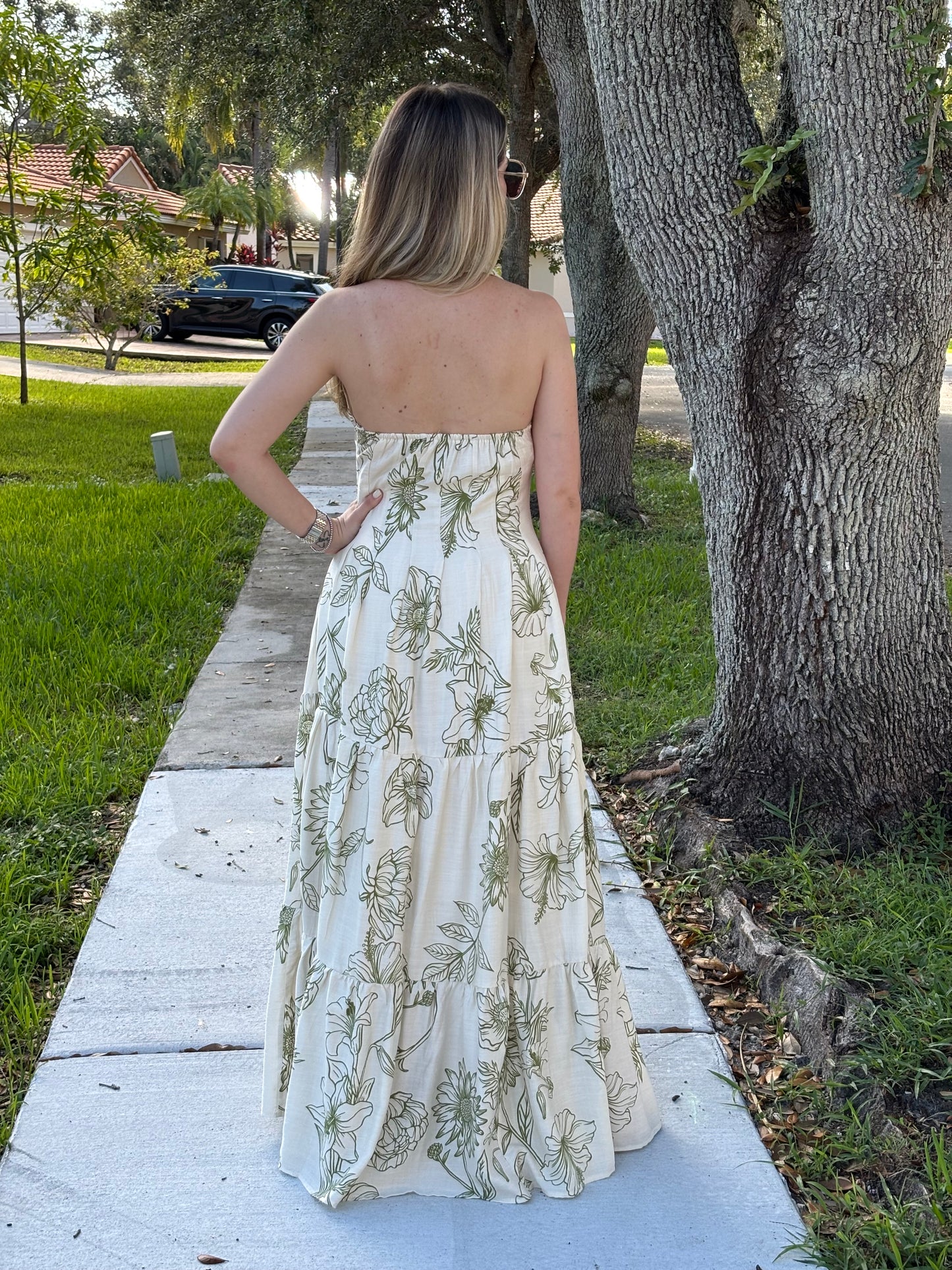 Barbara Maxi dress
