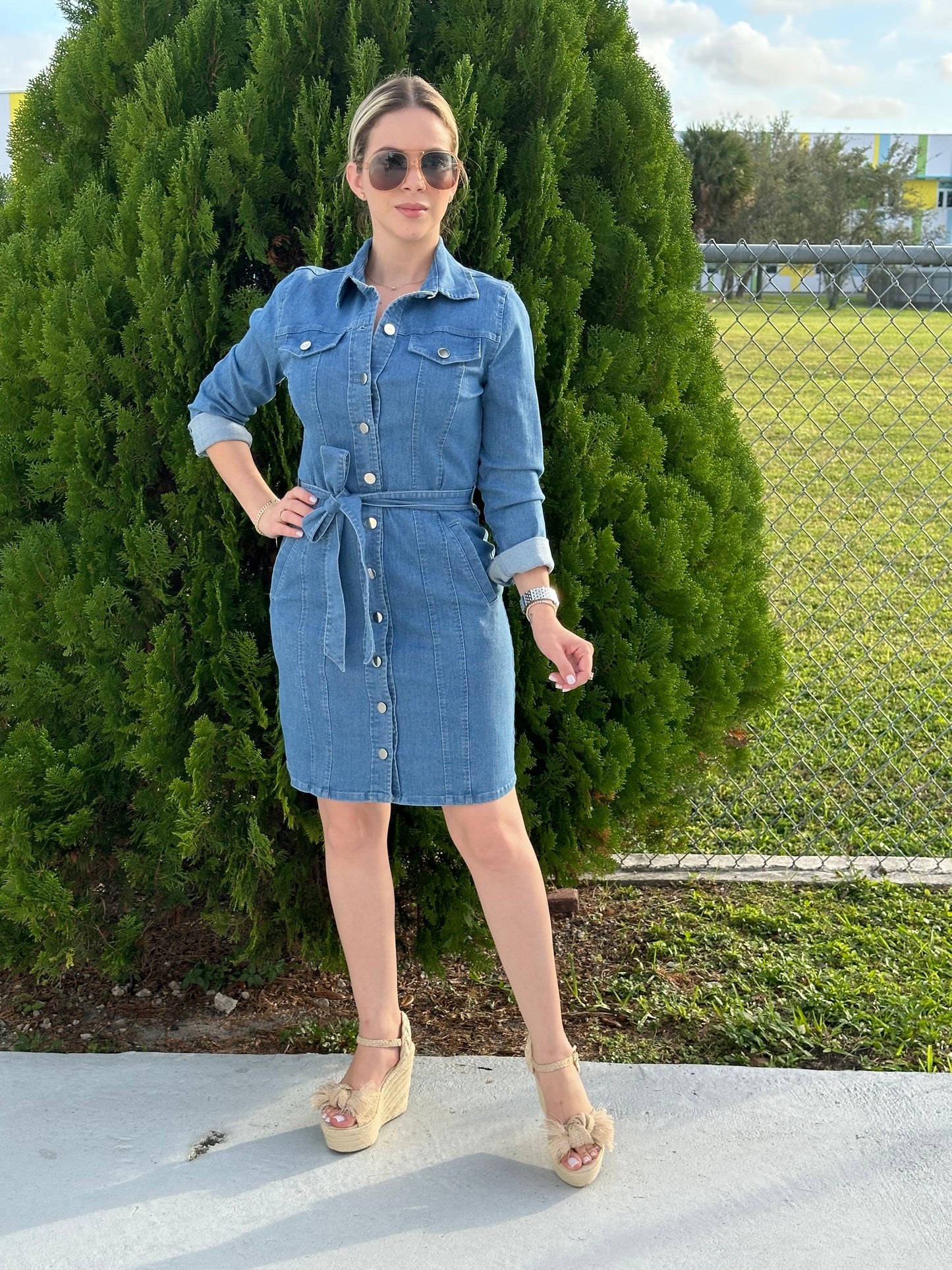 Joanna dress
