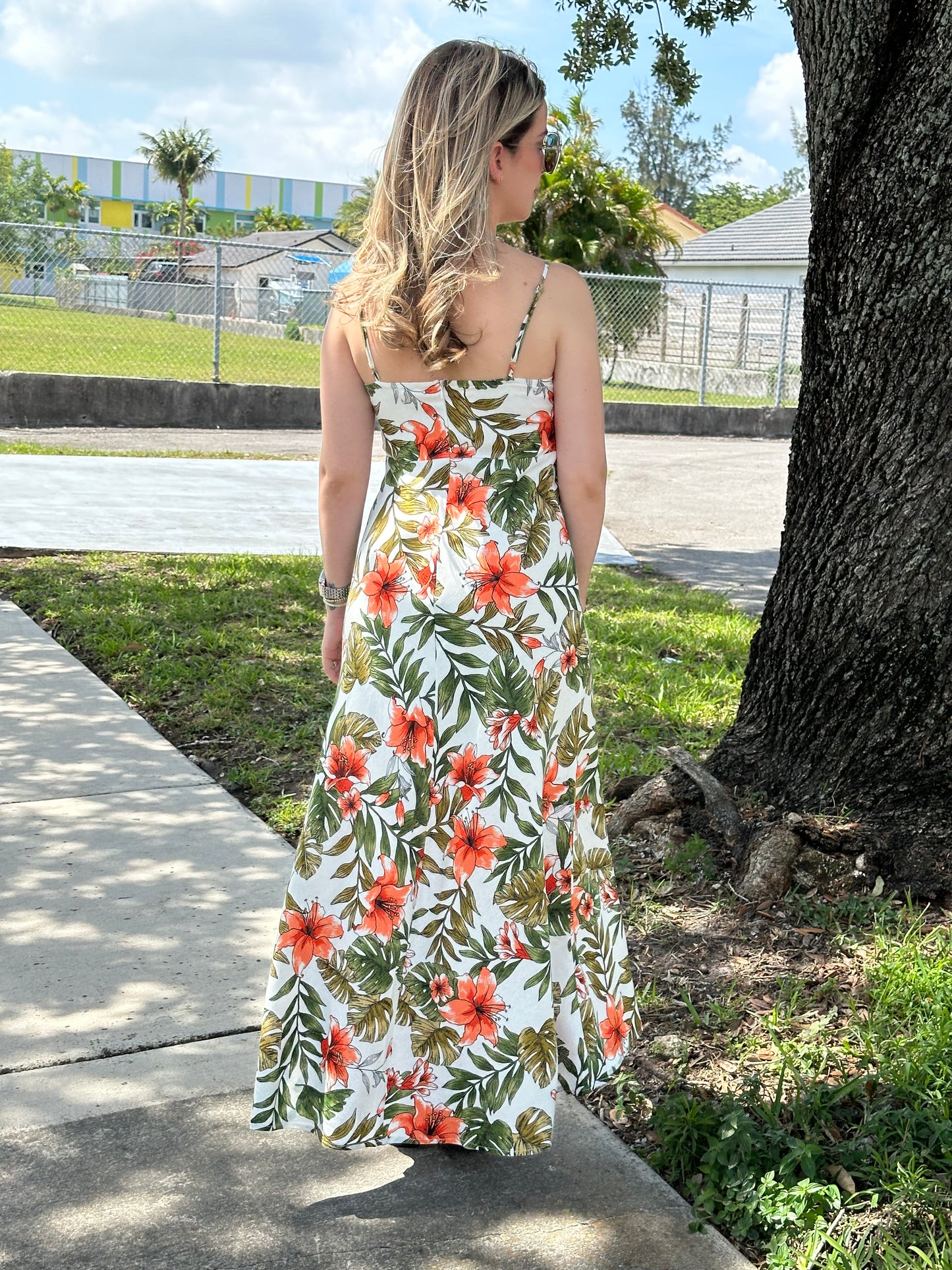 Tropical dream