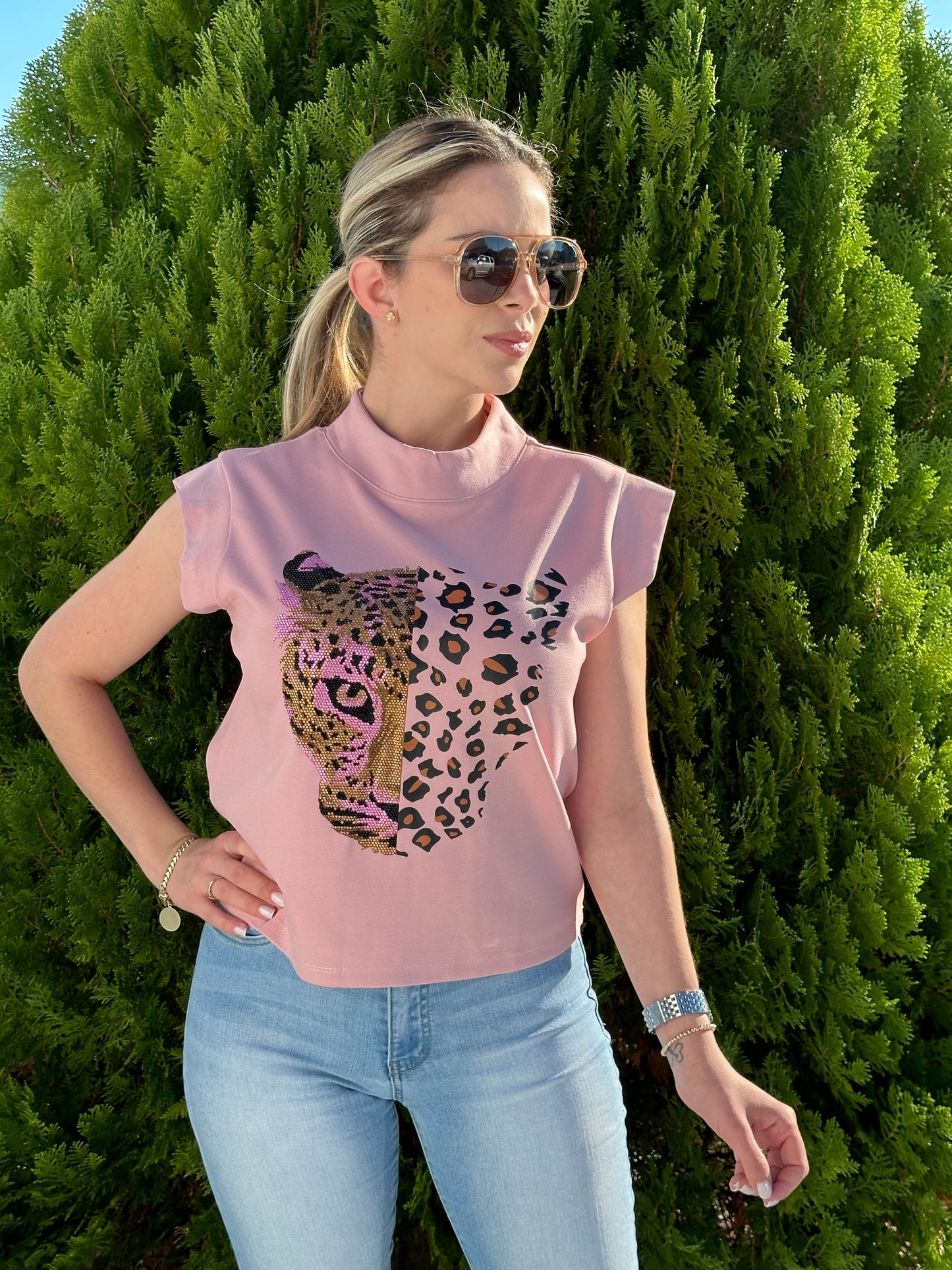 Cheetah
