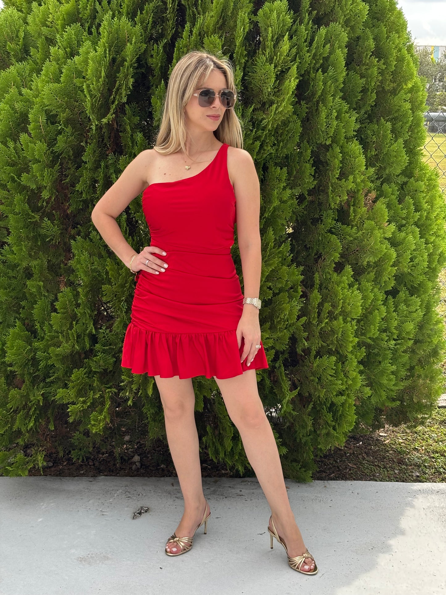 Teresa mini dress