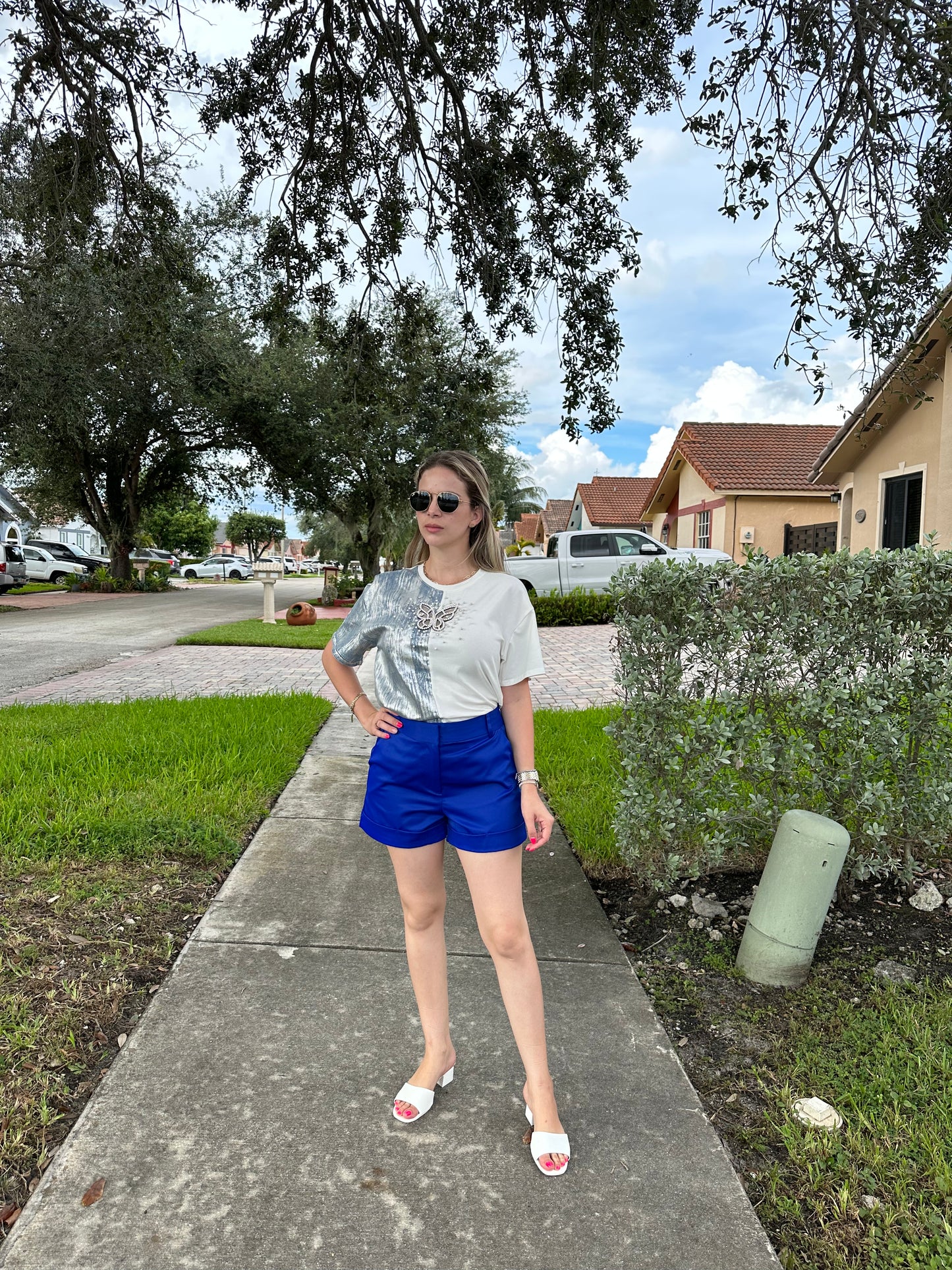 Silver butterfly shirt