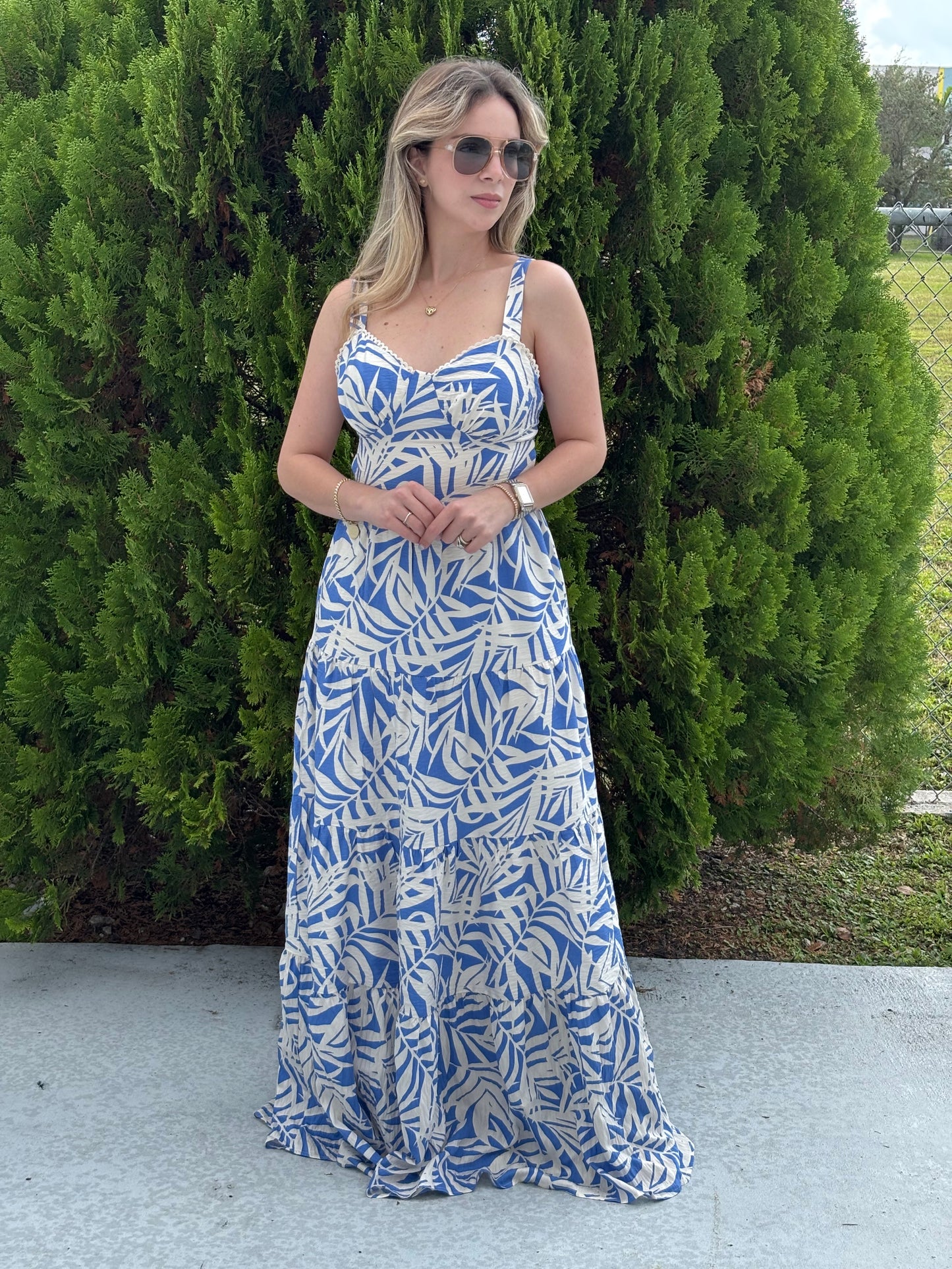 Island scape maxi dress