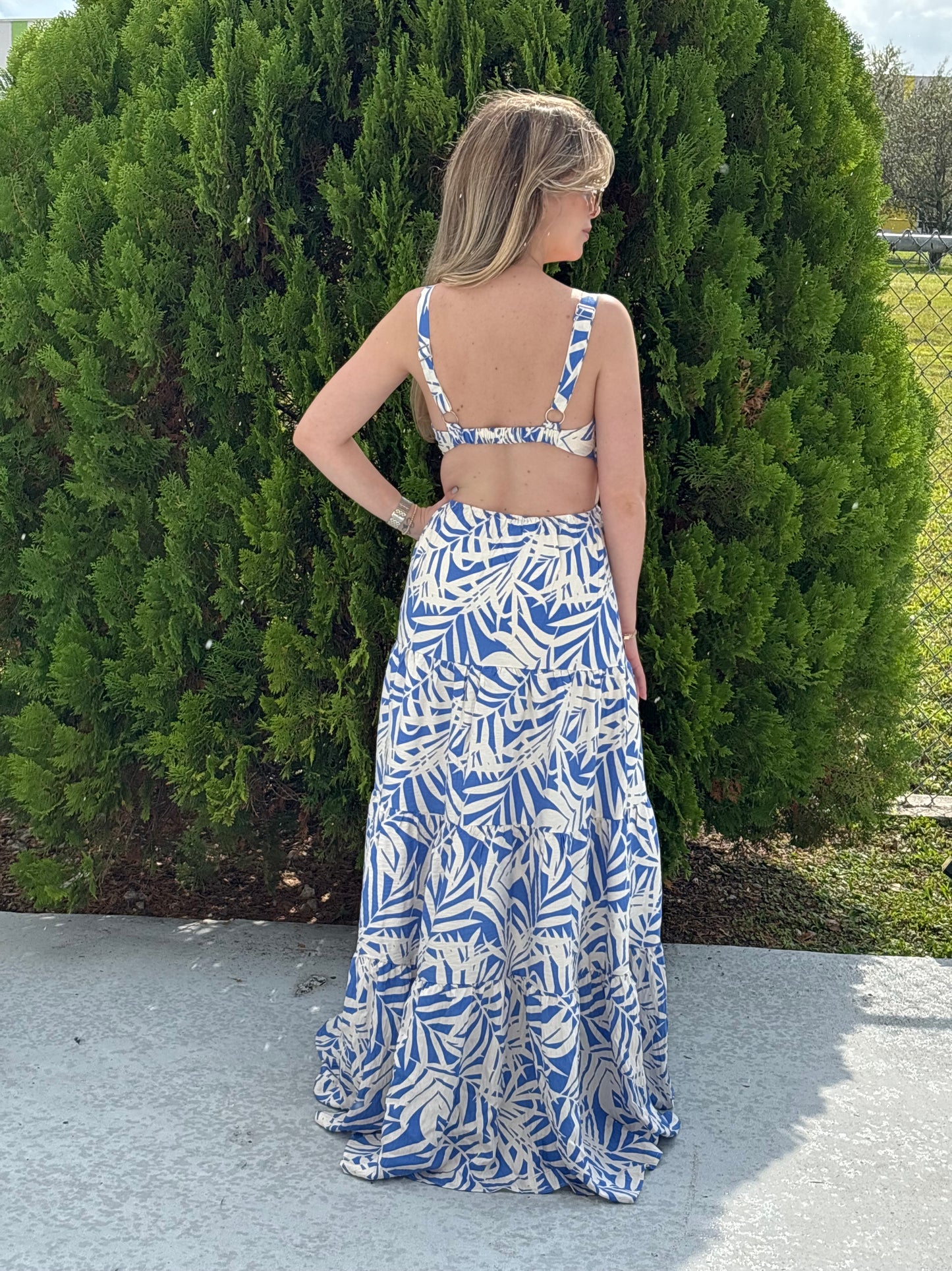 Island scape maxi dress