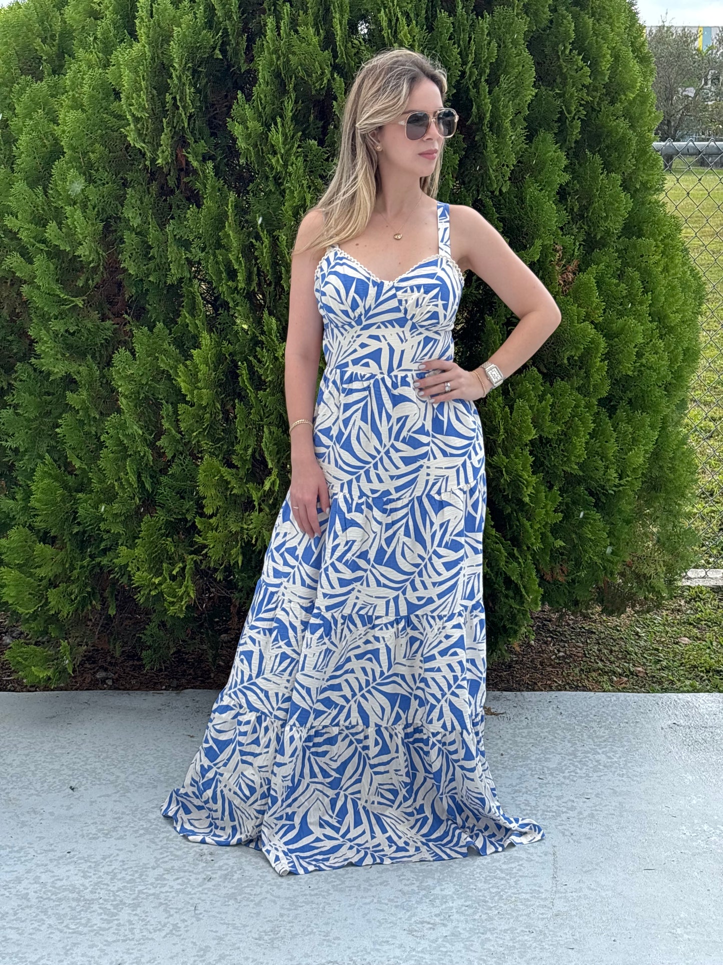 Island scape maxi dress