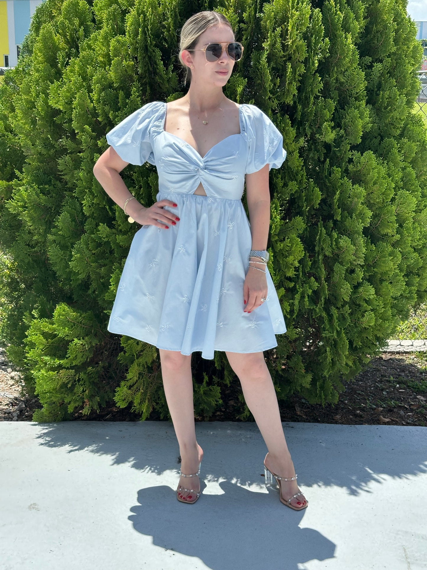 Alice dress