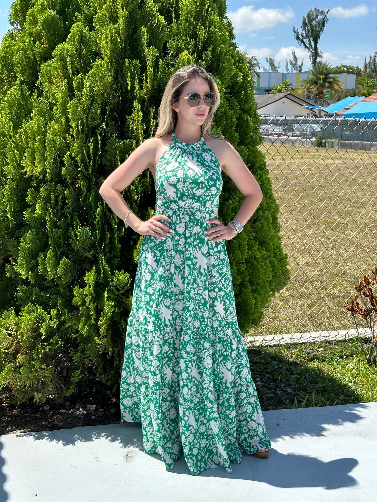 Sara maxi dress
