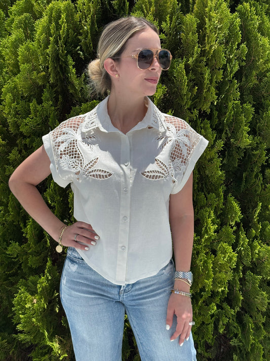 Pastel Embroidered top