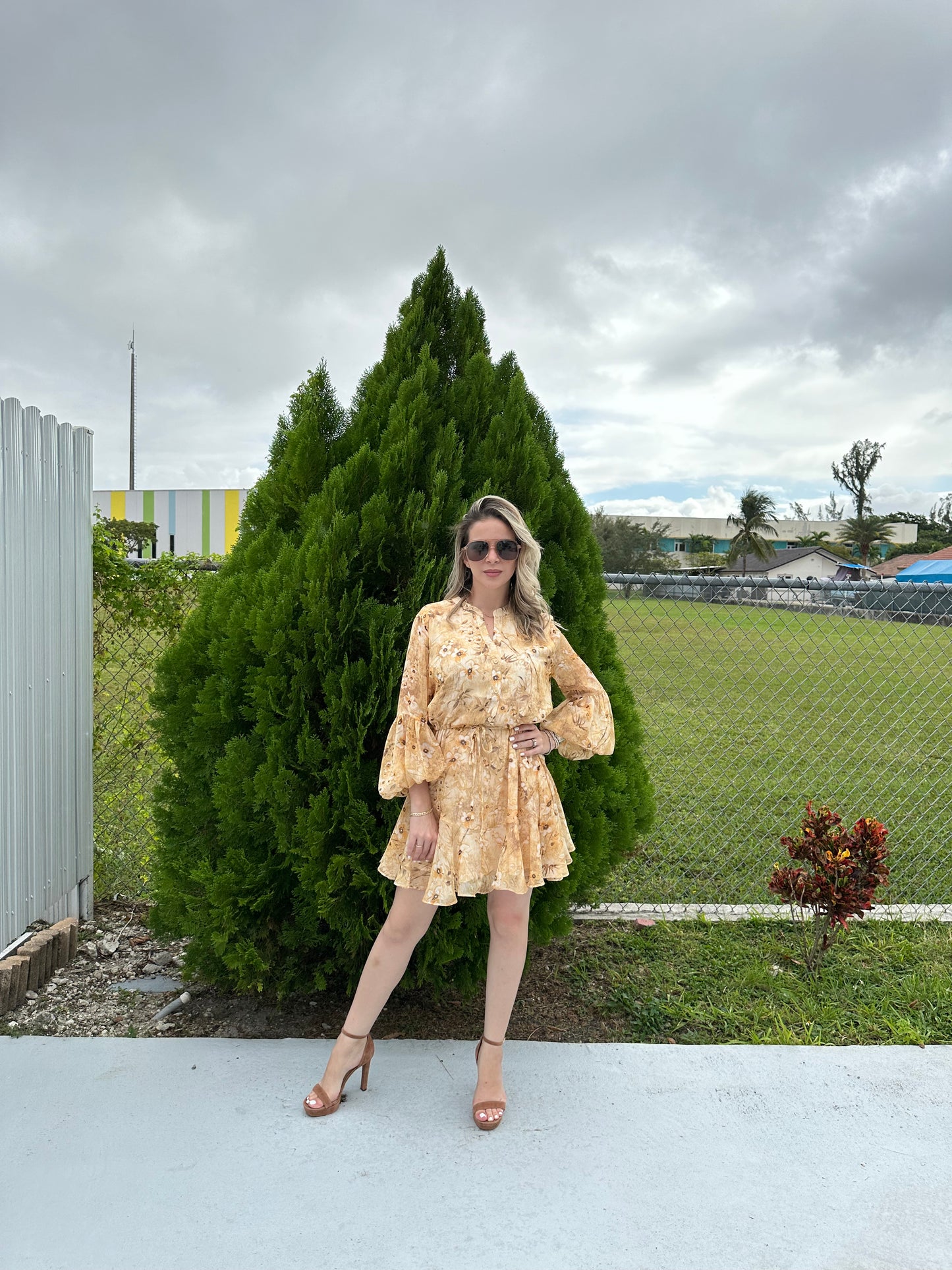 Amber dress