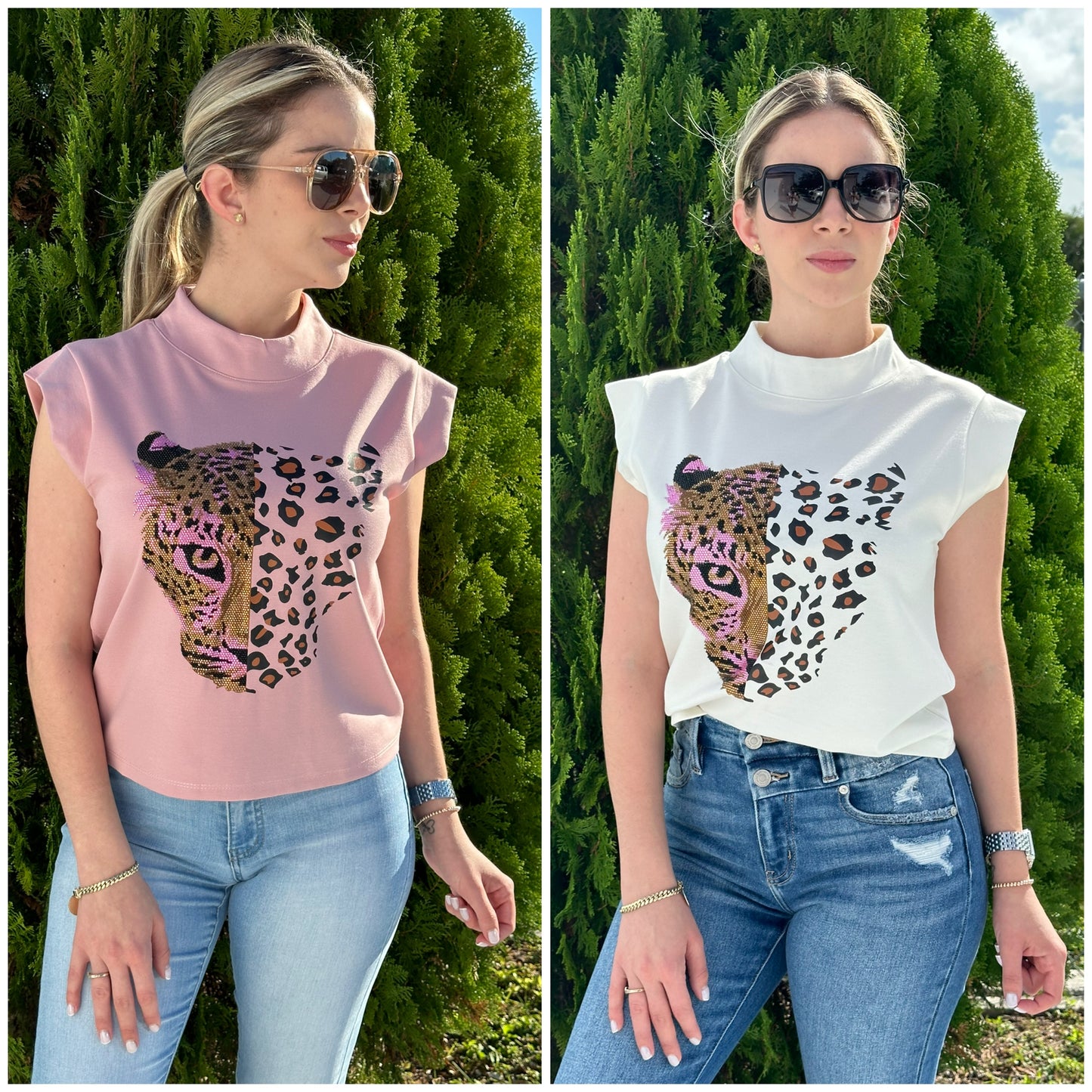 Cheetah