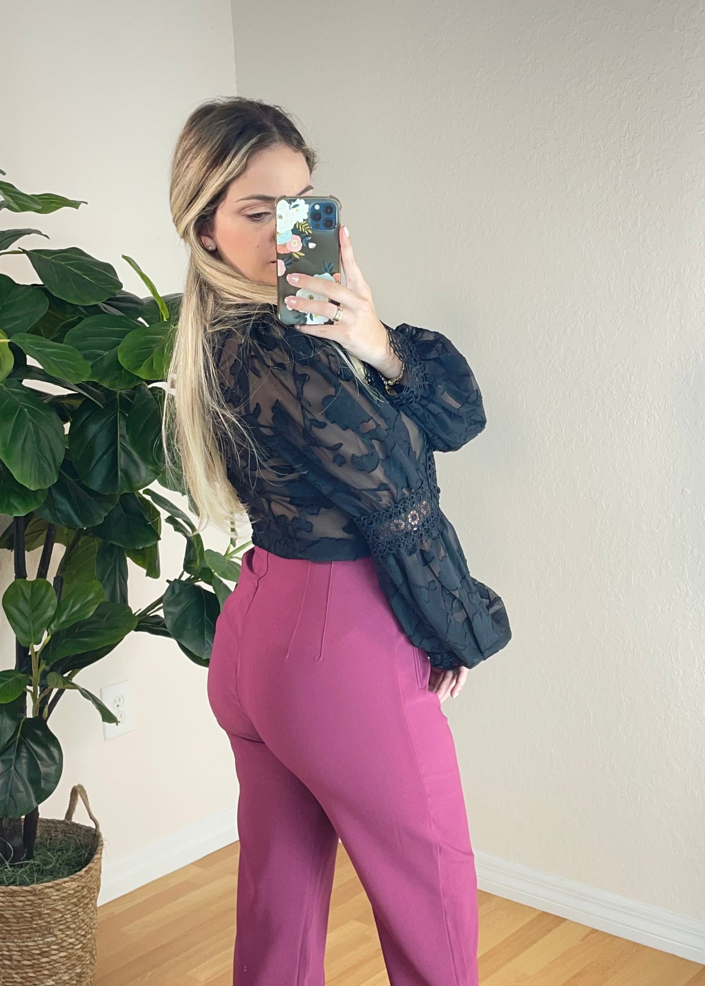 Clarissa grape
