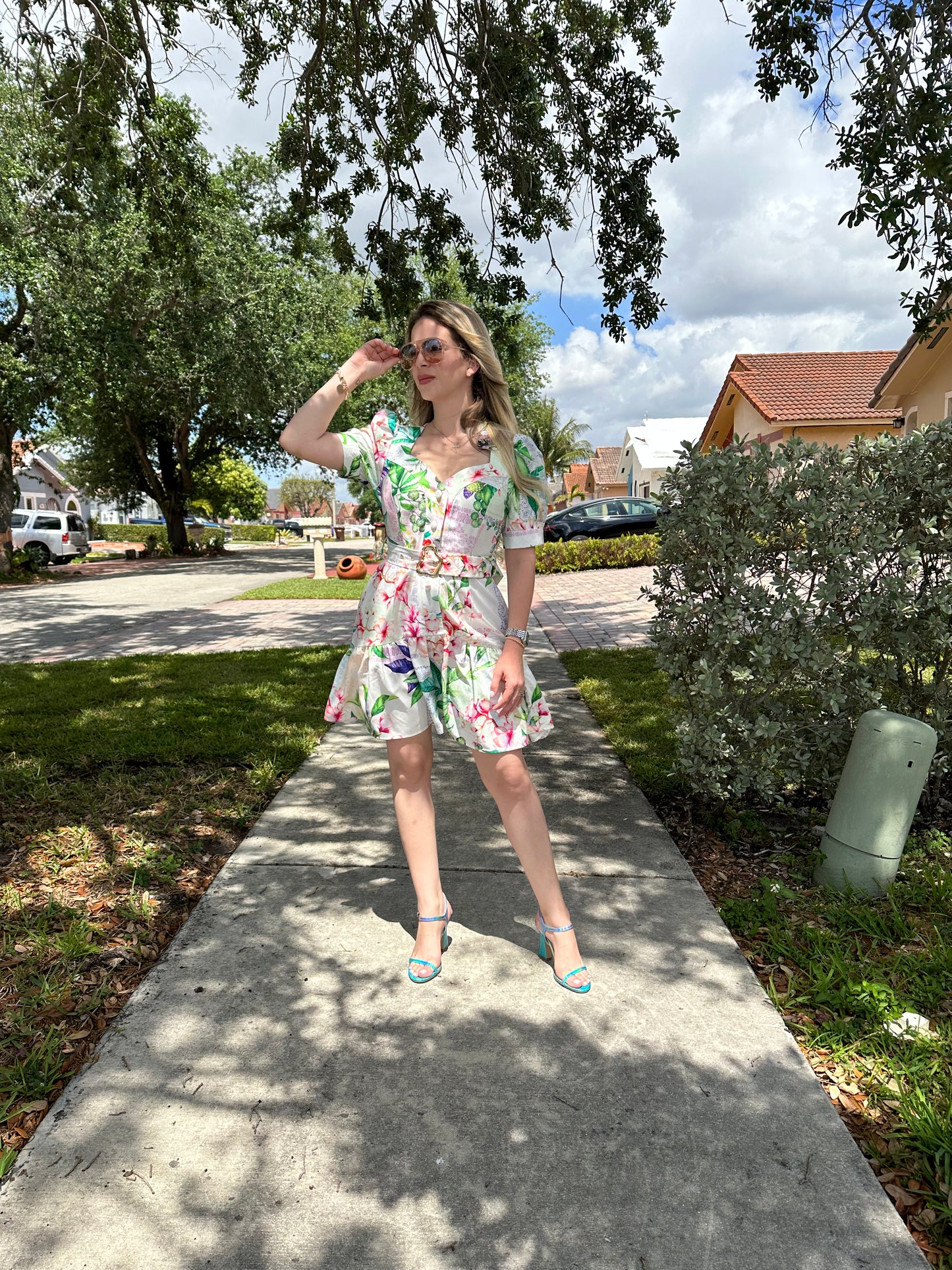 LizE dress