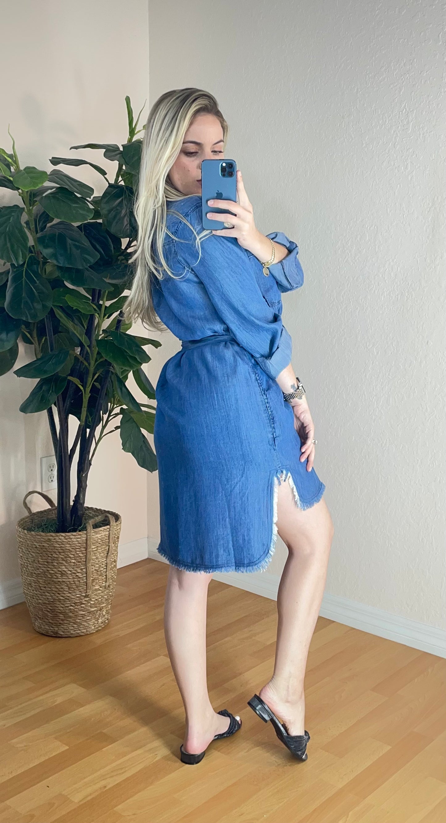 Lauren Denim dress
